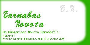 barnabas novota business card